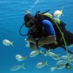 Buceo en Cuba
