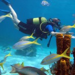 Buceo en Cuba