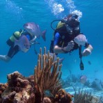 Buceo en Cuba