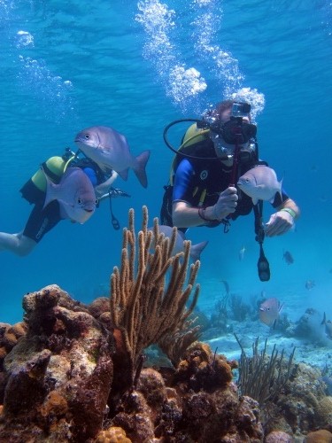 Scuba Dives in Cuba