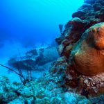 Los Túneles. Bahía de Cochinos