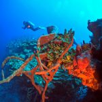 Los Túneles. Bahía de Cochinos