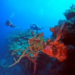 Los Túneles. Bahía de Cochinos