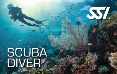 Curso internacional SSI Open Water