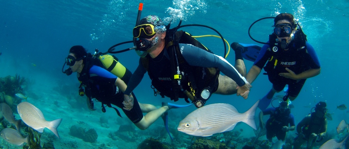 Buceo en Cuba - Scuba Dives in Cuba